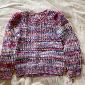 NWT cute Design History sweater 4T